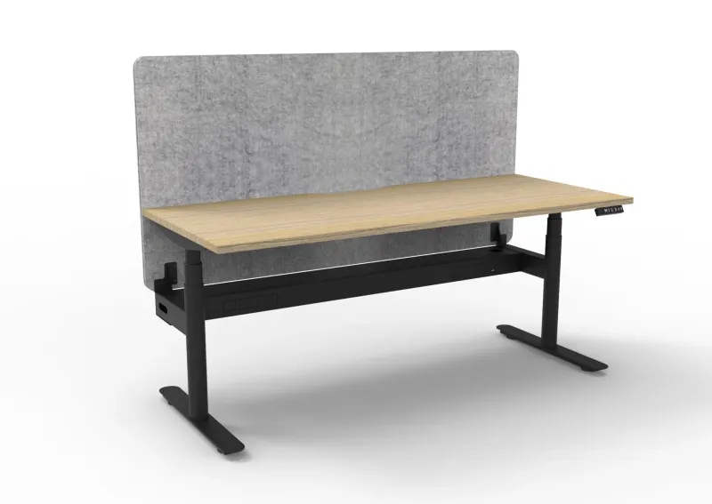 RL Halo Plus Motorized Height Adjustable Desk with Grey Eco Panel Screen