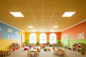 RL Acouline V Groove Glide Span Rectangular Hanging Ceiling Panels thumbnail 2