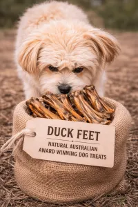 Duck Feet Dog Treats Australia – Natural Crunchy Dog Chews thumbnail 4