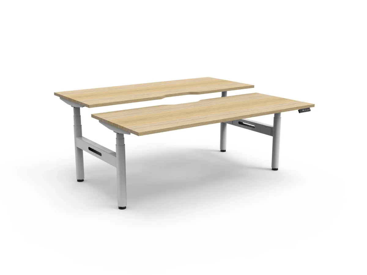 RL Halo Plus Motorized Height Adjustable Back to Back 2 User Desk